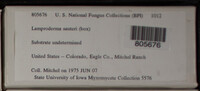 Image Associated With the Occurence